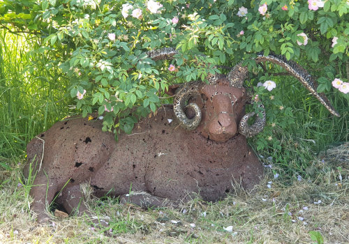 Photograph of Sheep Statues